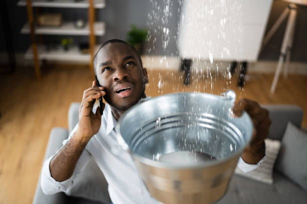 Trusted North Redington Beach, FL Water damage restoration Experts