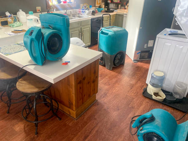 Best Local water damage restoration  in North Redington Beach, FL