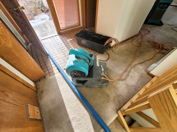 Best Water damage cleanup near me  in North Redington Beach, FL