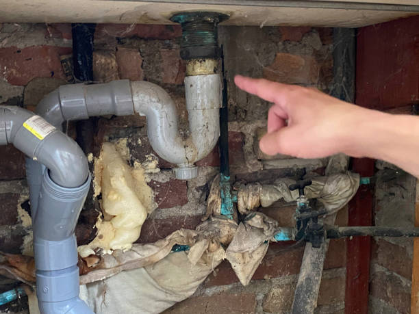 Best Carpet water damage restoration  in North Redington Beach, FL