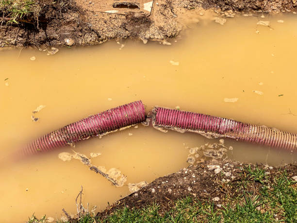 Best Sewage cleanup and water damage restoration  in North Redington Beach, FL